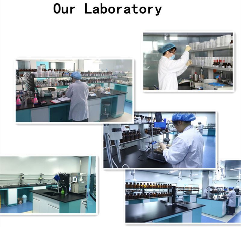 Company Introduction1