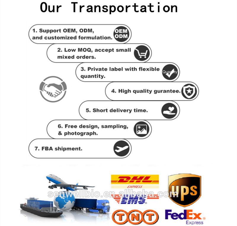 Company Introduction4